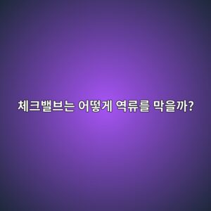 체크밸브는 어떻게 역류를 막을까? 3 ecb2b4ed81acebb0b8ebb88ceb8a94 ec96b4eb96bbeab28c ec97adeba598eba5bc eba789ec9d84eab98c 1786464505