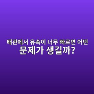 배관에서 유속이 너무 빠르면 어떤 문제가 생길까? 1 ebb0b0eab480ec9790ec849c ec9ca0ec868dec9db4 eb8488ebacb4 ebb9a0eba5b4eba9b4 ec96b4eb96a4 ebacb8eca09ceab080 ec839deab8b8eab98c 1789293655