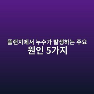 ed948ceb9e9ceca780ec9790ec849c eb8884ec8898eab080 ebb09cec839ded9598eb8a94 eca3bcec9a94 ec9b90ec9db8 5eab080eca780 1788246933